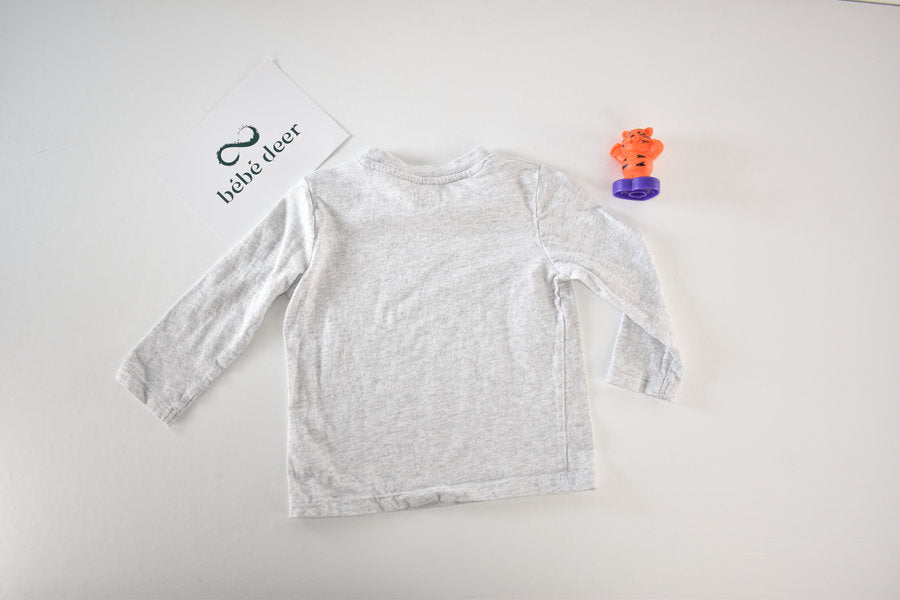 Light grey long sleeve top