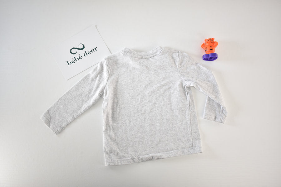 Light grey long sleeve top