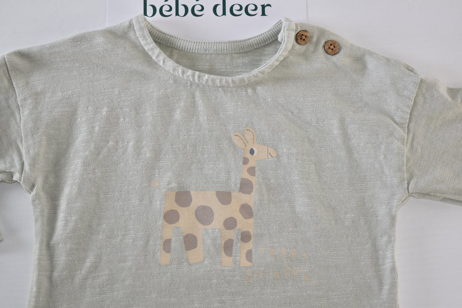 Top “Happy Giraffe”