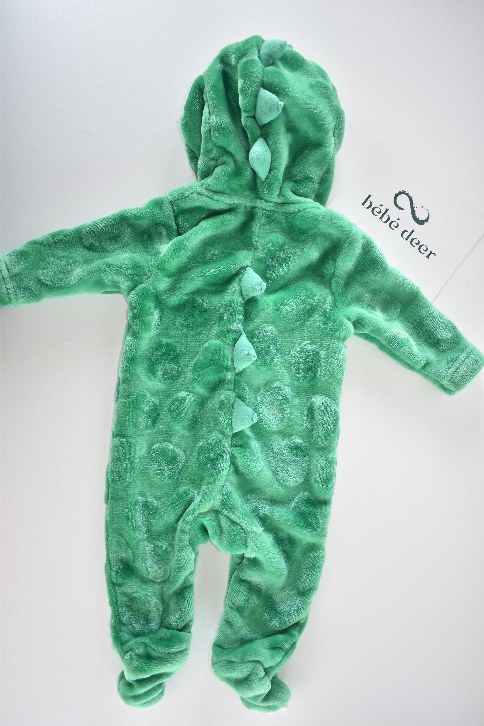 Green Dinosaur Pramsuit