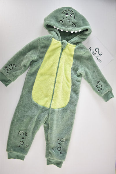 Dinosaur fleece all in one