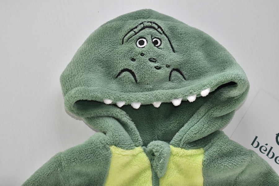 Dinosaur fleece all in one