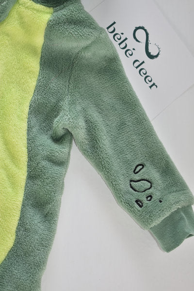Dinosaur fleece all in one
