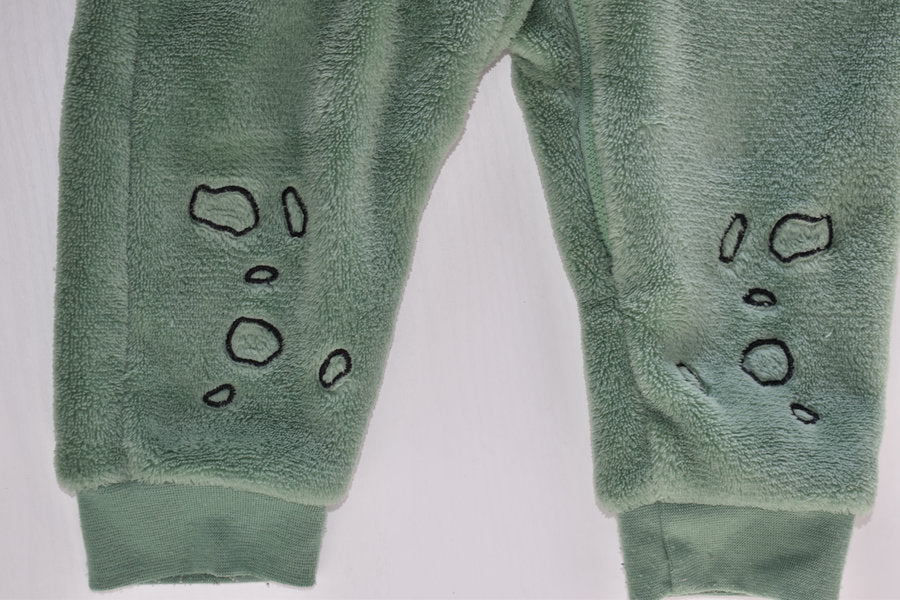 Dinosaur fleece all in one
