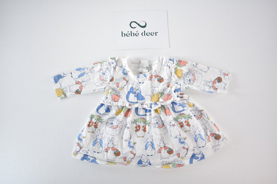 Peter Rabbit dress