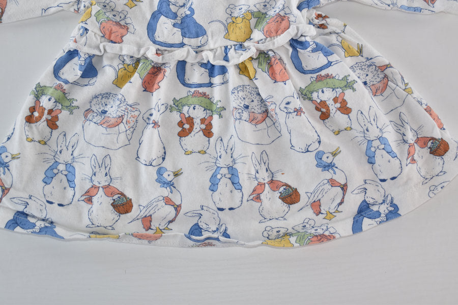 Peter Rabbit dress