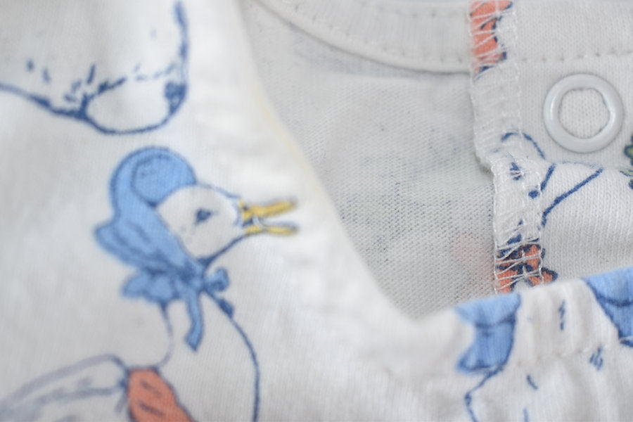 Peter Rabbit dress