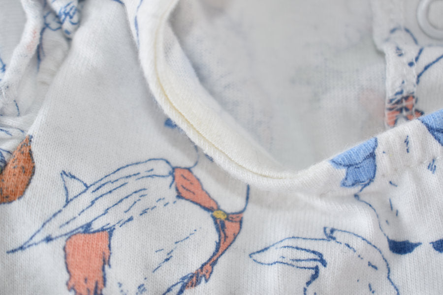 Peter Rabbit dress