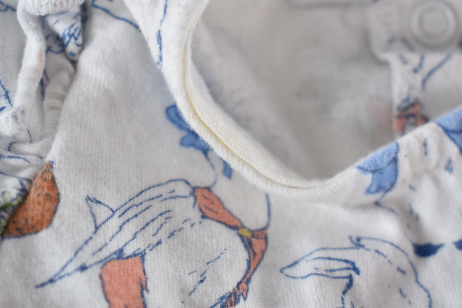 Peter Rabbit dress