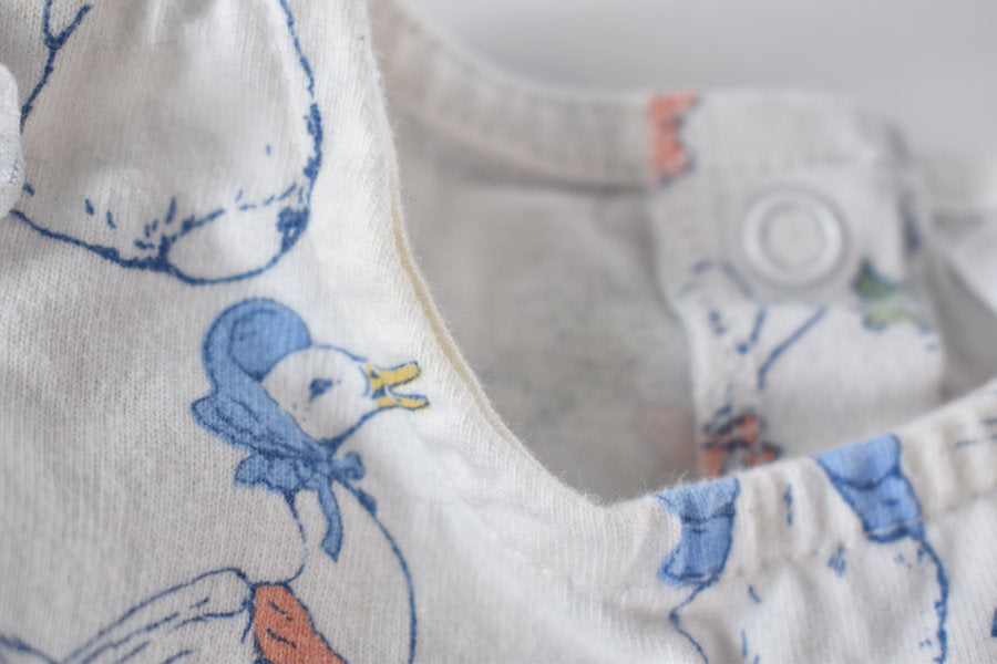 Peter Rabbit dress