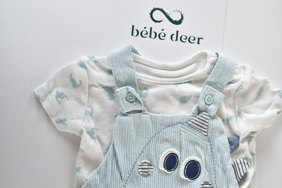 Dinosaur dungaree set with matching bodysuit