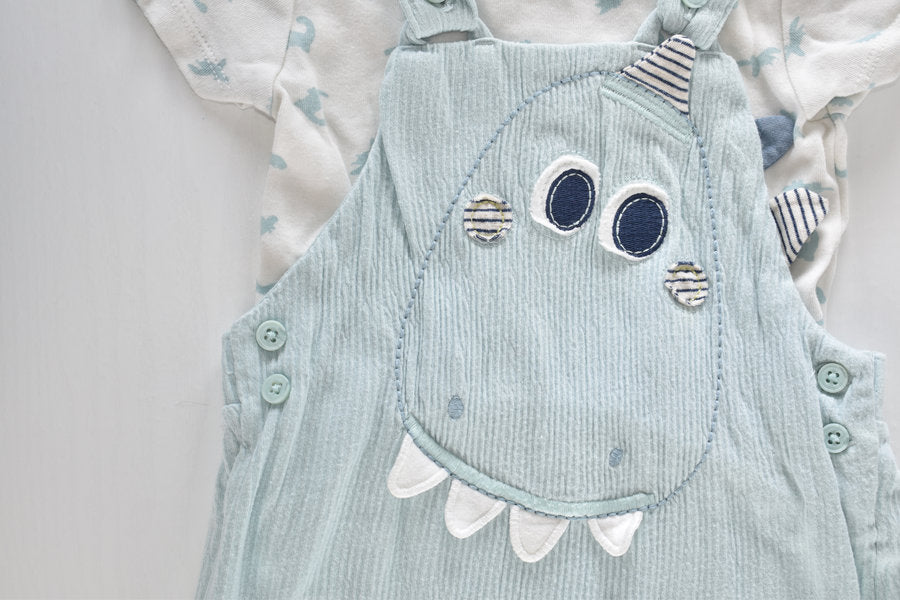 Dinosaur dungaree set with matching bodysuit