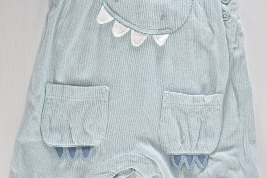 Dinosaur dungaree set with matching bodysuit