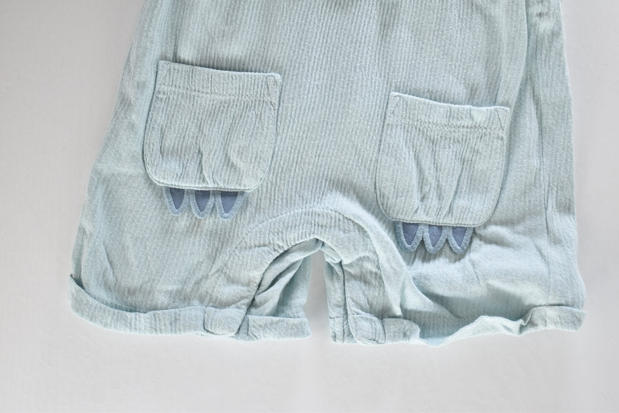 Dinosaur dungaree set with matching bodysuit