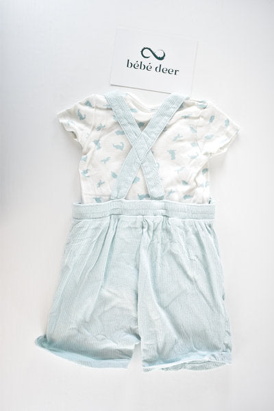 Dinosaur dungaree set with matching bodysuit