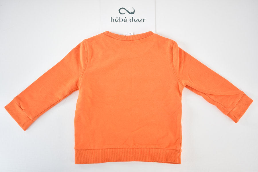 Monster face jumper