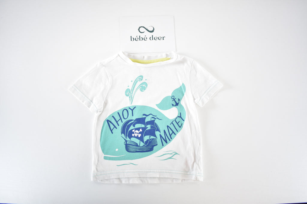 Top "Ahoy matey"