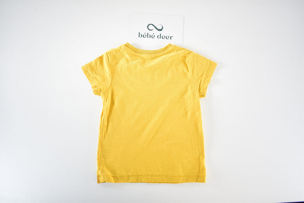 Safari animal t-shirt with textured giraffe mane