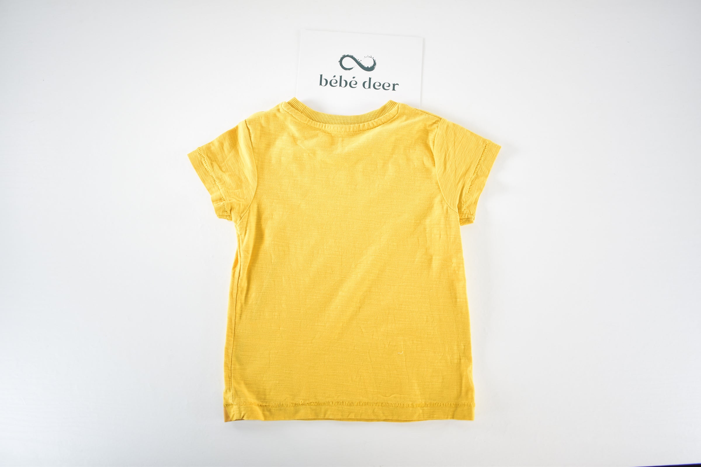 Safari animal t-shirt with textured giraffe mane