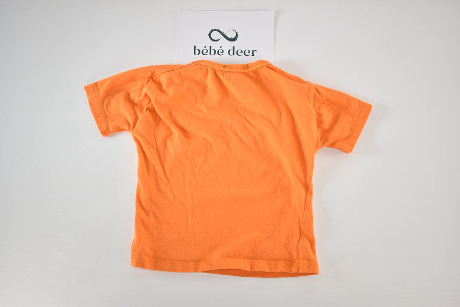 Armani Jeans Orange T-Shirt