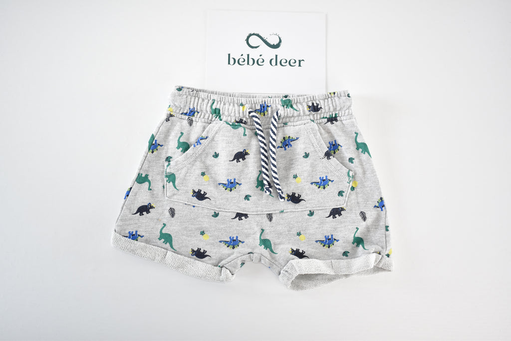 Dinosaur print shorts