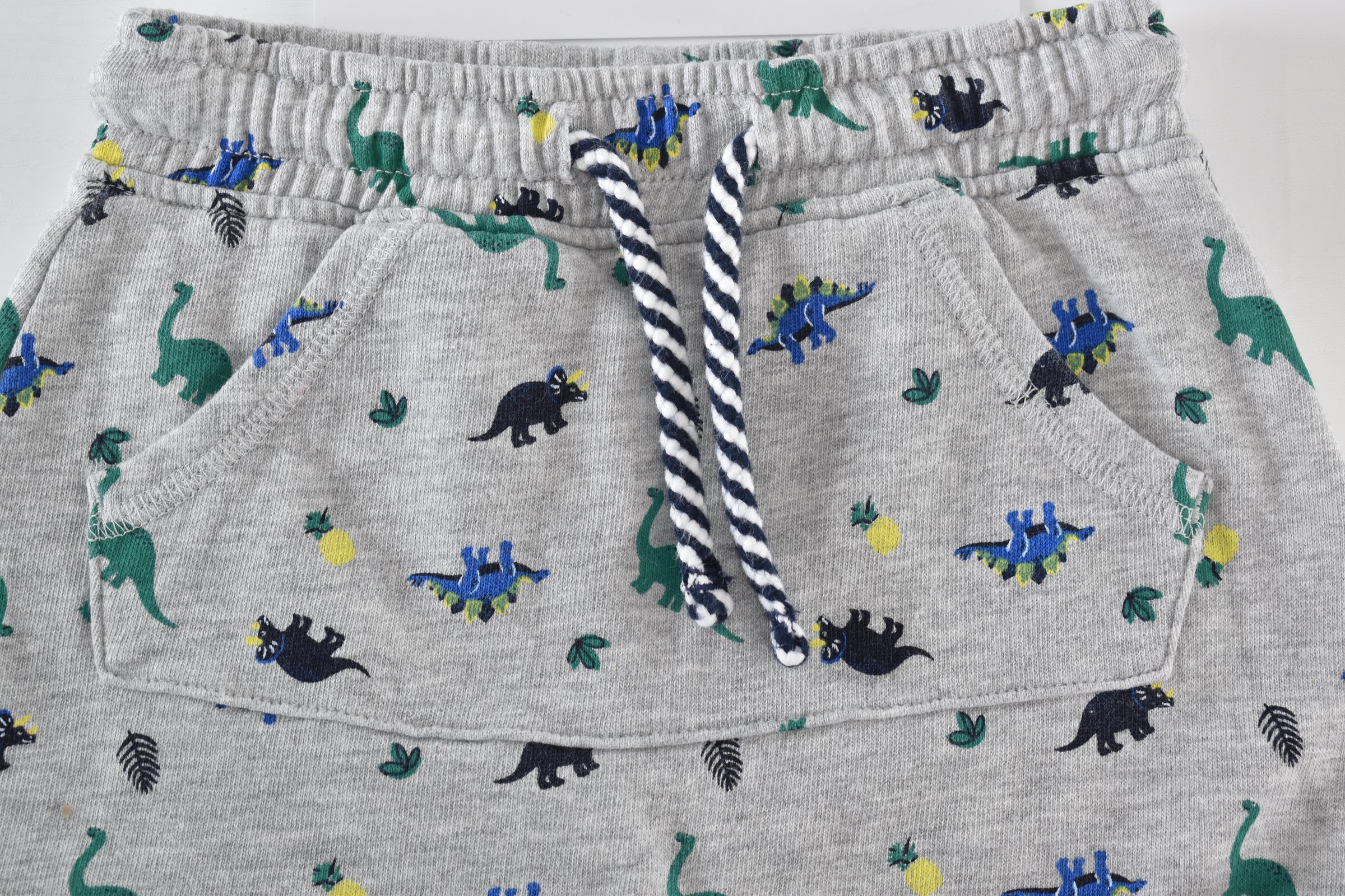 Dinosaur print shorts