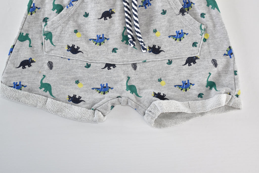 Dinosaur print shorts