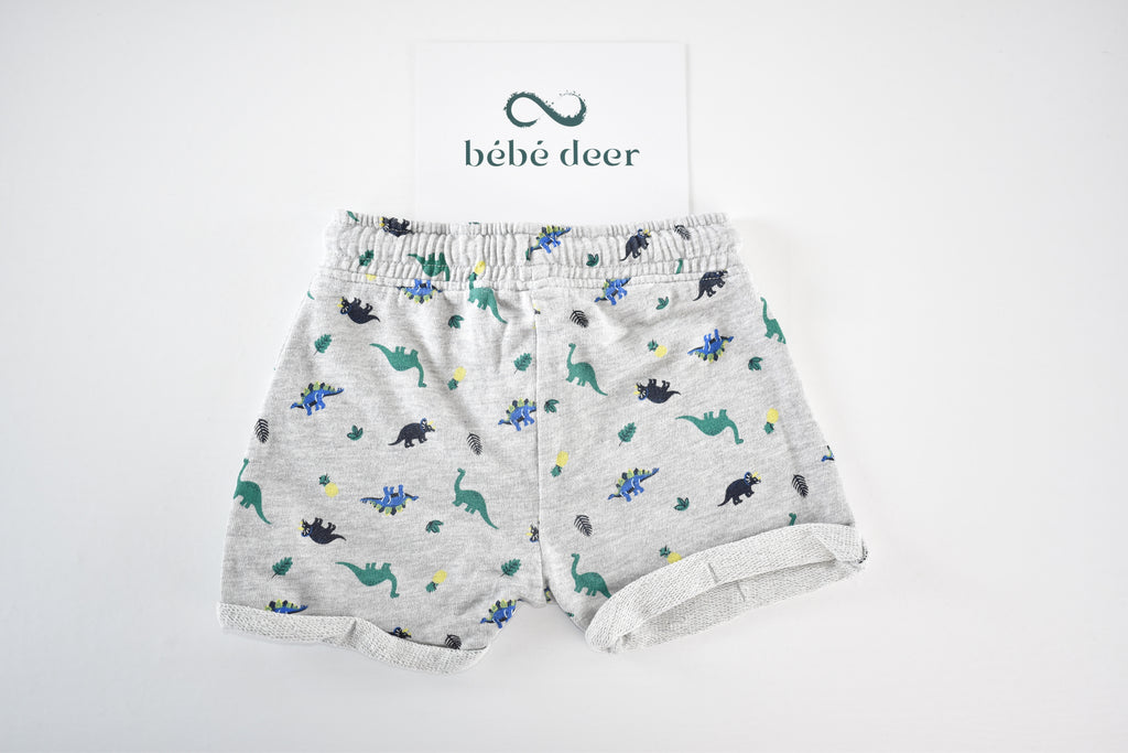 Dinosaur print shorts