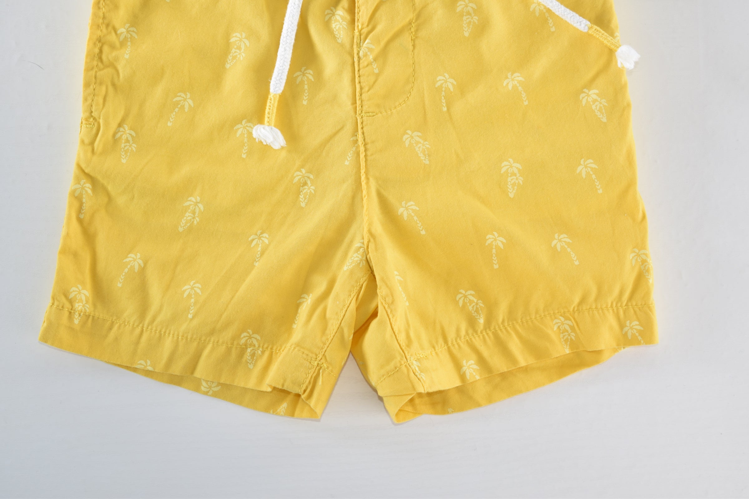 Palm tree print shorts