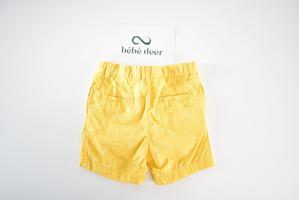 Palm tree print shorts