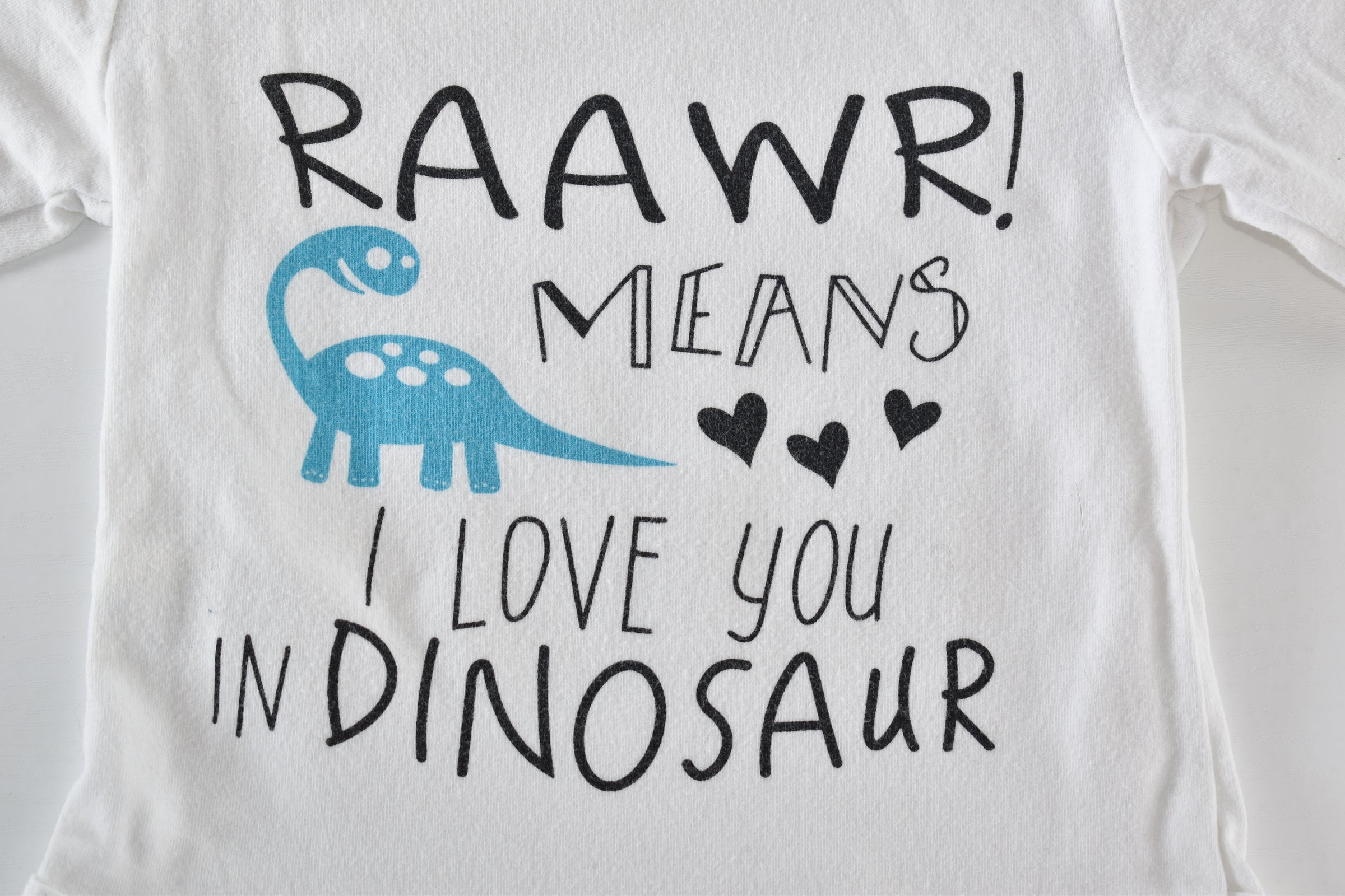 Body "Raawr means I love you in dinosaur"