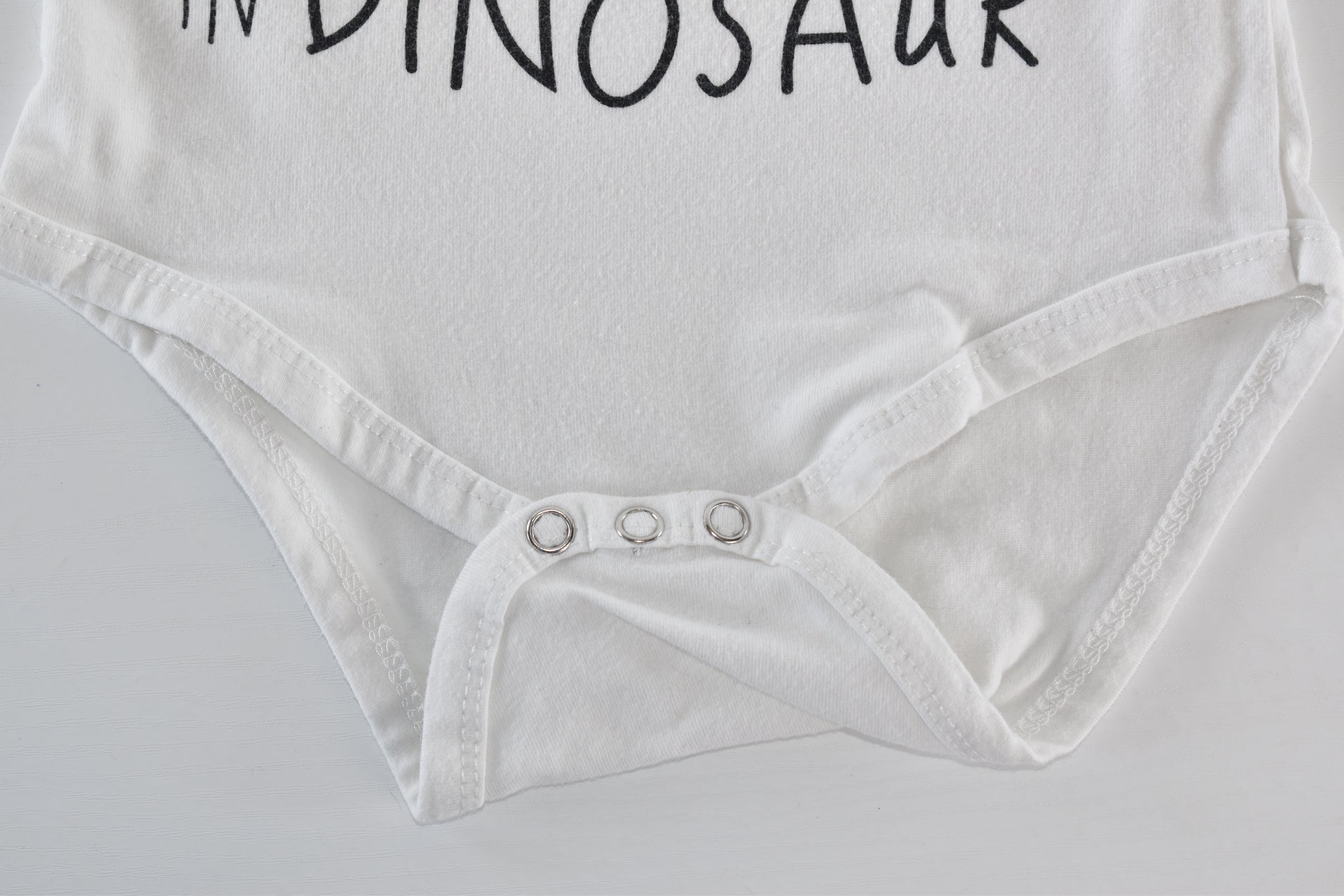 Body "Raawr means I love you in dinosaur"