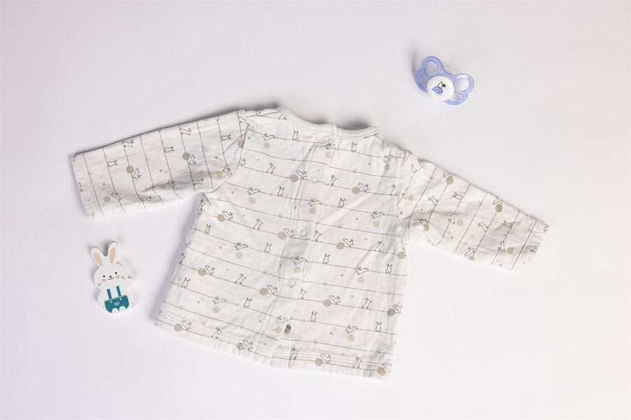 Top rabbit and balloon