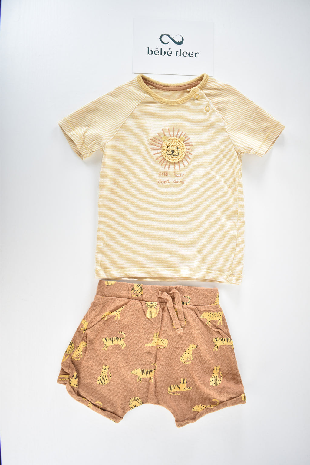 Lion embroidered outfit set