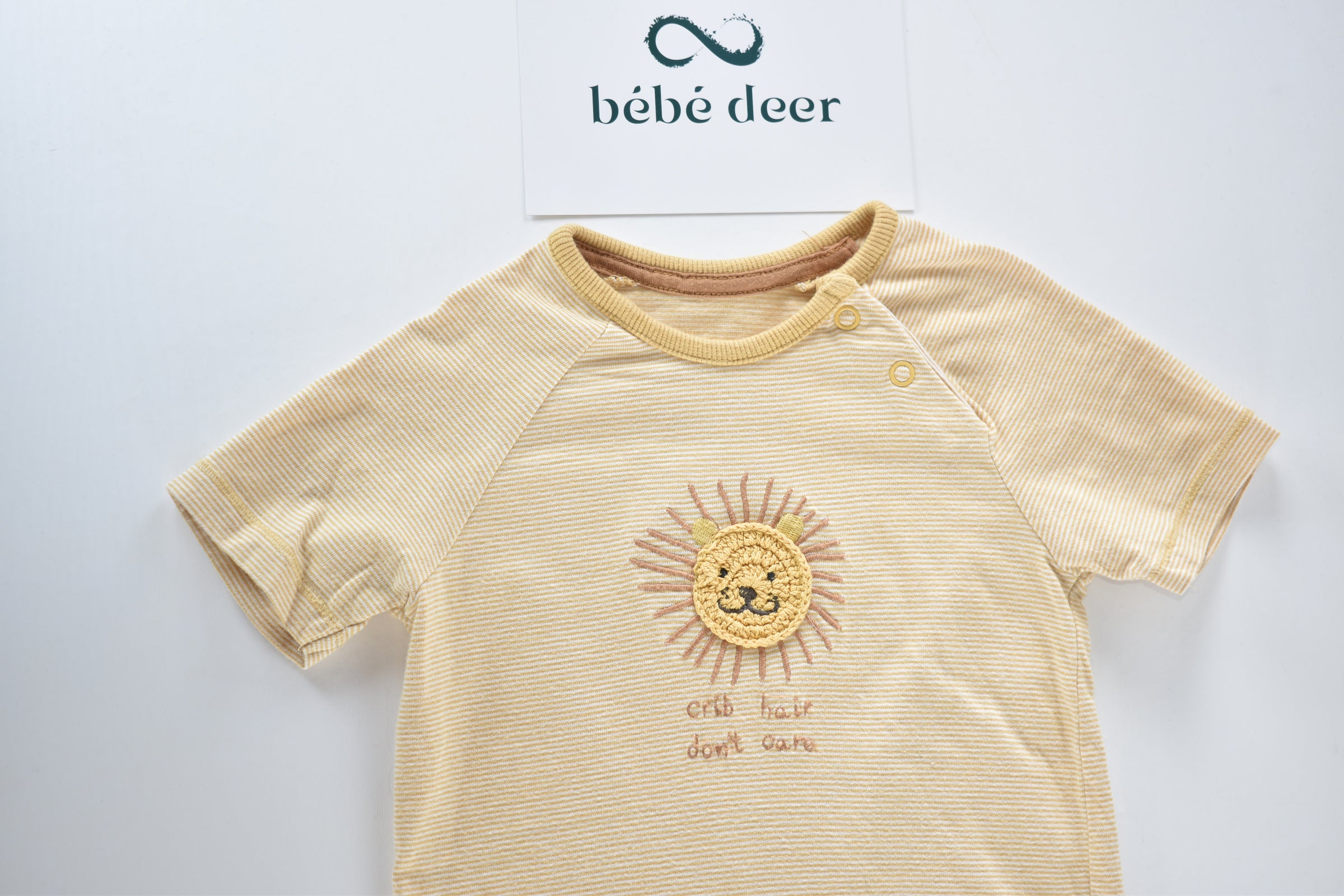 Lion embroidered outfit set