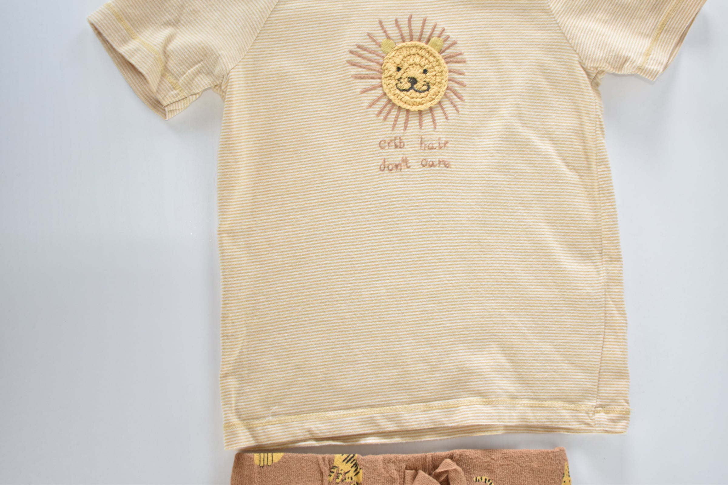 Lion embroidered outfit set