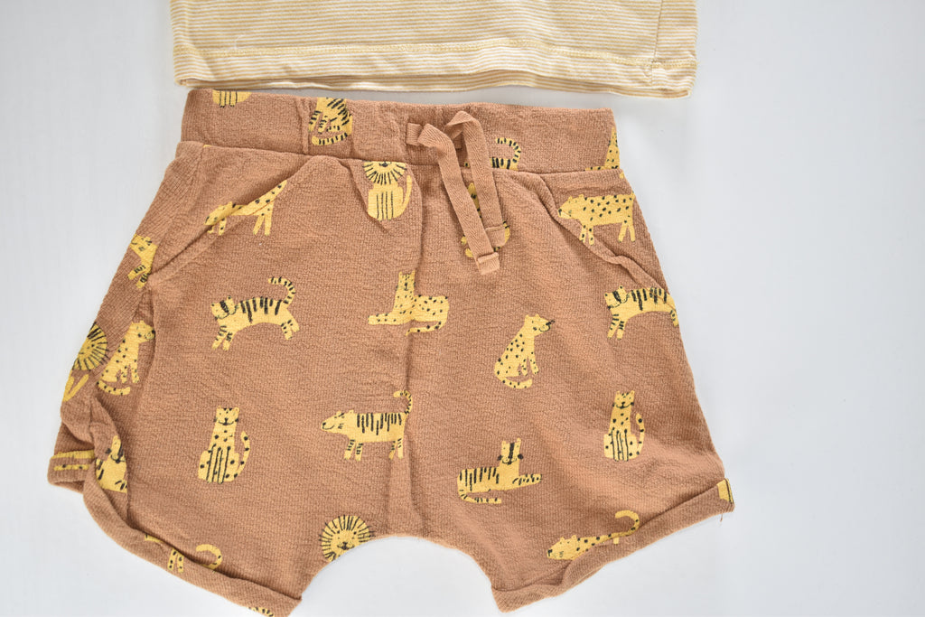Lion embroidered outfit set