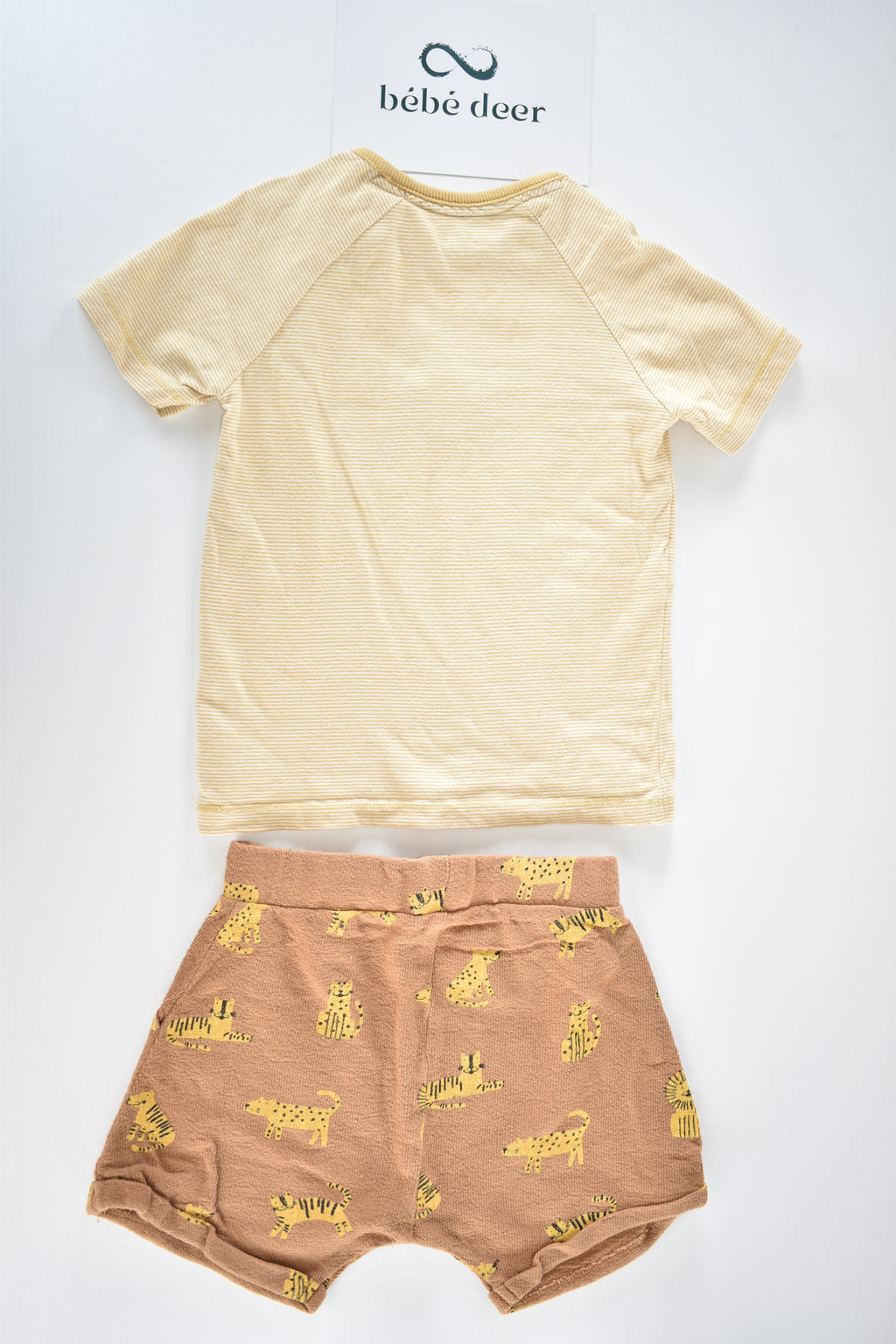 Lion embroidered outfit set