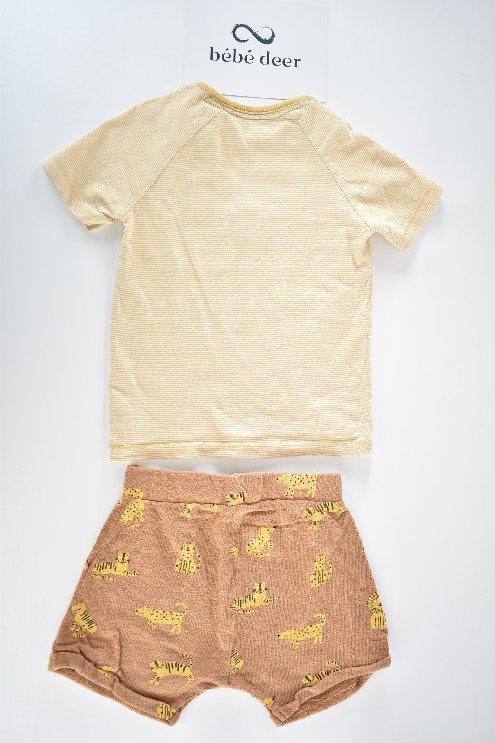 Lion embroidered outfit set