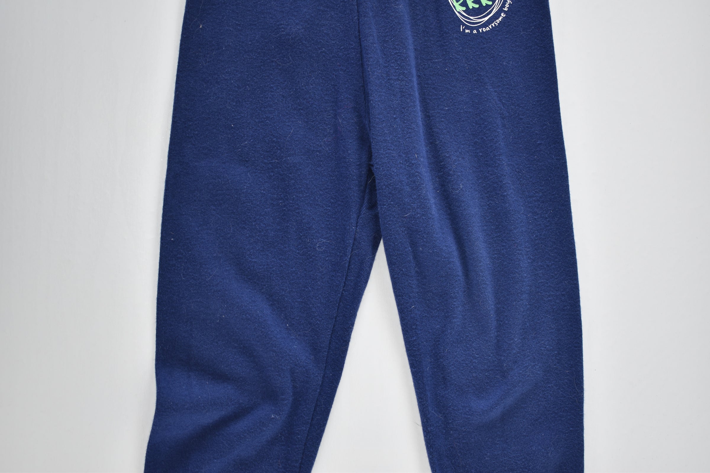 Blue dinosaur trousers