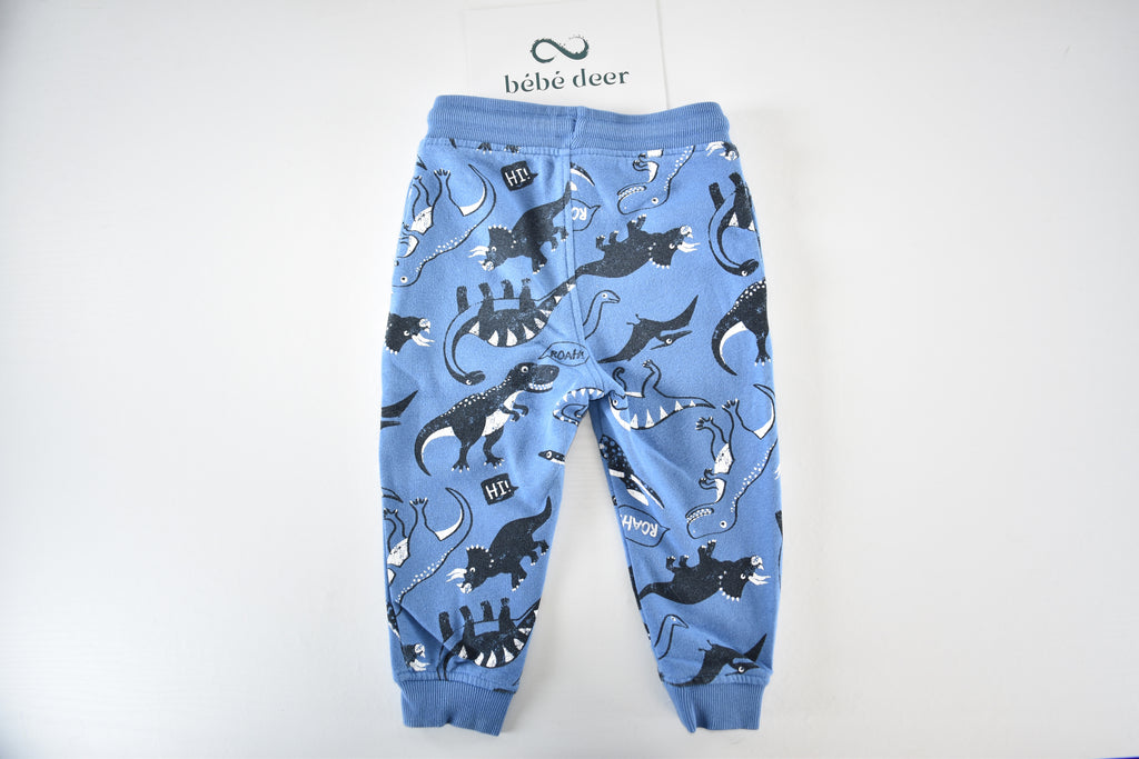 Blue dinosaur trousers