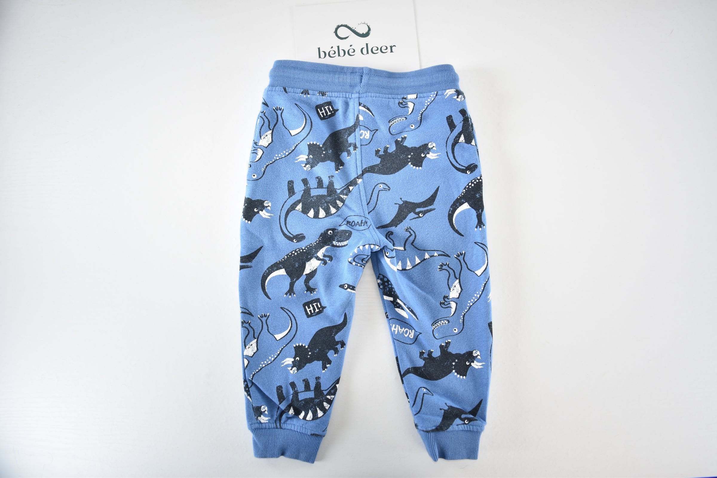 Blue dinosaur trousers