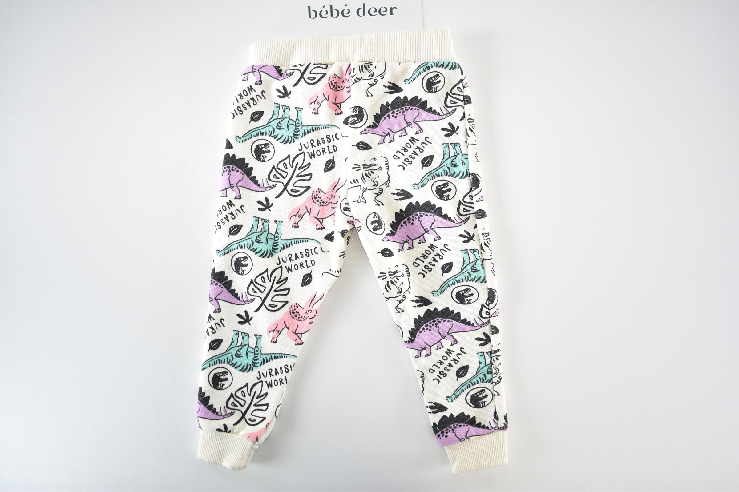 Jurassic World dinosaur trousers