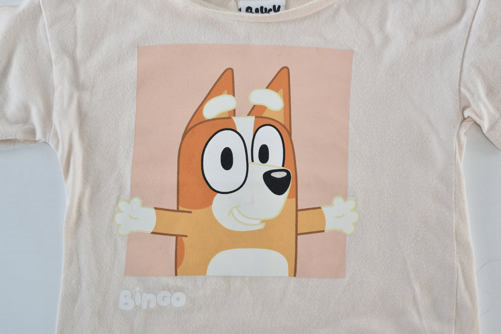 Bluey Bingo top