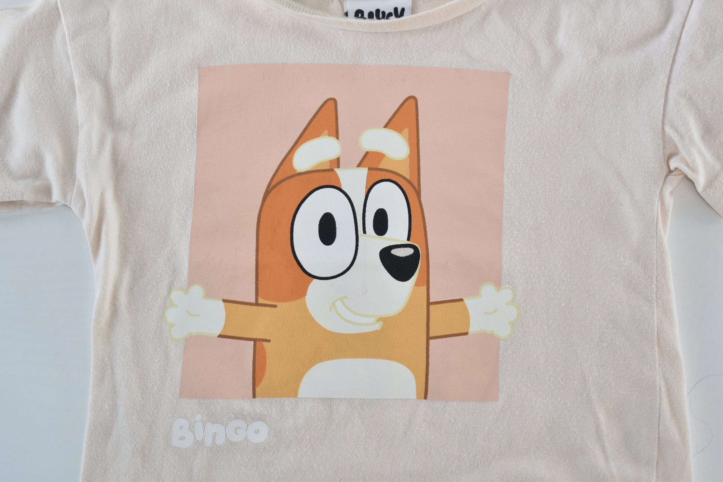 Bluey Bingo top