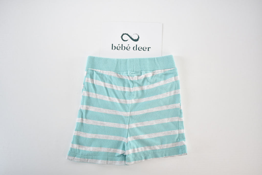 Mint striped jersey shorts with decorative pockets