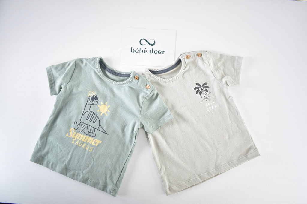 Summer dinosaur tops set