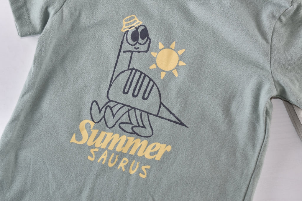 Summer dinosaur tops set
