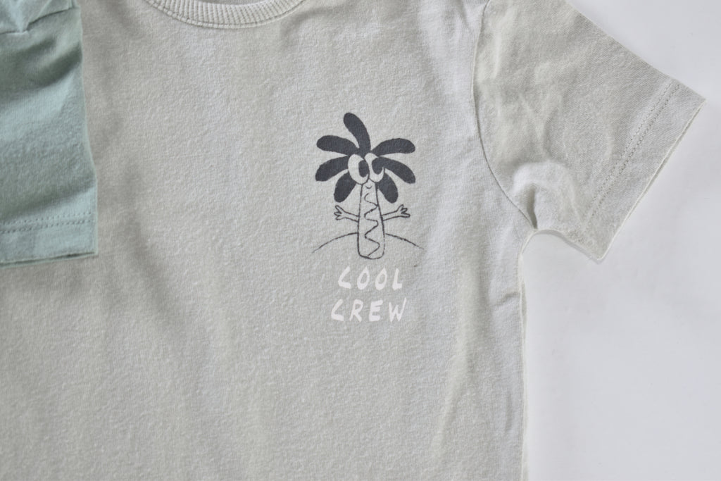 Summer dinosaur tops set