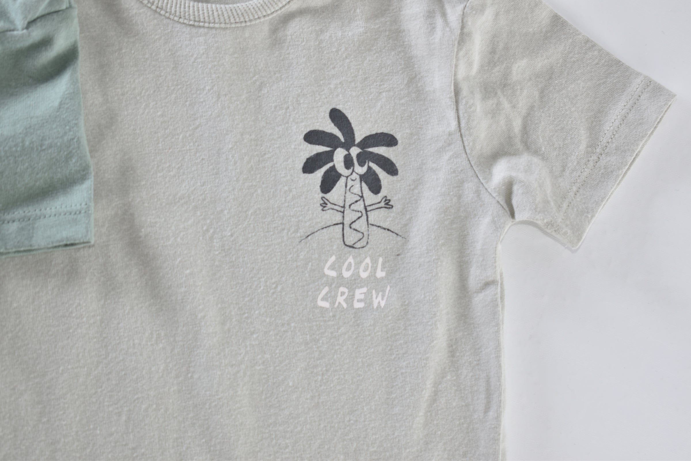 Summer dinosaur tops set